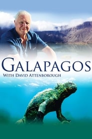 Galapagos 3D' Poster