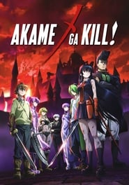 Akame ga Kill Poster
