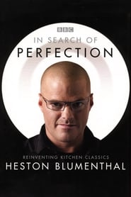 In Search of Perfection' Poster