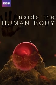 Streaming sources forInside the Human Body