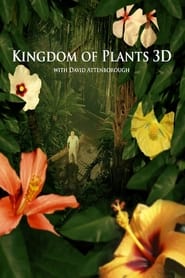 Kingdom of Plants 3D' Poster
