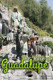 La rosa de Guadalupe' Poster