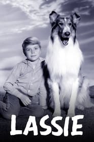 Lassie' Poster