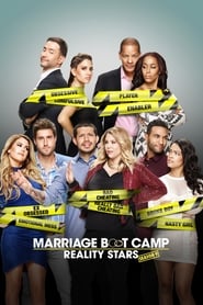 Marriage Boot Camp Reality Stars' Poster