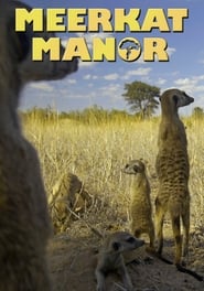 Meerkat Manor' Poster