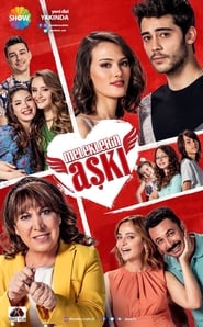 Meleklerin Aski' Poster