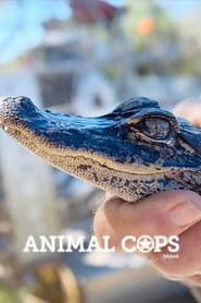 Streaming sources forAnimal Cops Miami