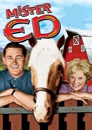 Streaming sources forMister Ed