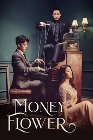 Money Flower' Poster