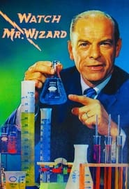 Mr Wizard' Poster