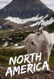 North America' Poster