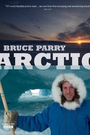 Arctic' Poster