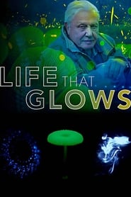 Attenboroughs Life That Glows' Poster