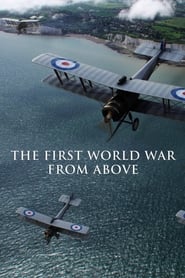 The First World War from Above