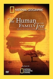 The Human Family Tree' Poster