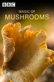 The Magic of Mushrooms' Poster