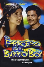 The Princess  the Barrio Boy