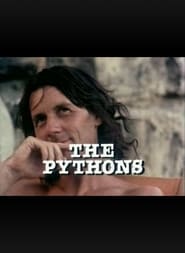 The Pythons' Poster