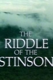 The Riddle of the Stinson' Poster