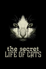 The Secret Life of Cats' Poster