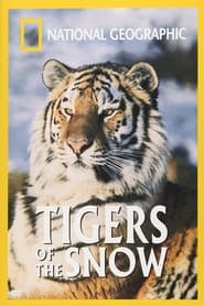 Tigers of the Snow' Poster
