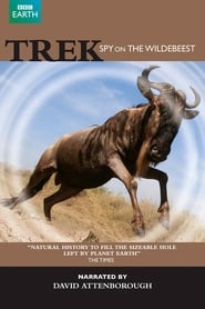Trek Spy on the Wildebeest' Poster