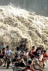 Tsunami Caught on Camera' Poster