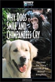 Why Dogs Smile  Chimpanzees Cry' Poster