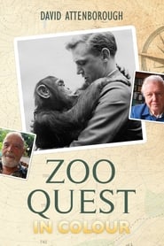 Zoo Quest in Colour' Poster