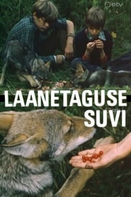 Laanetaguse suvi' Poster