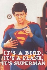 Its a Bird Its a Plane Its Superman