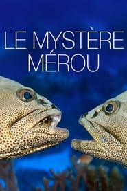 The Grouper Mystery' Poster