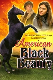 American Black Beauty' Poster