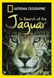 In Search of the Jaguar' Poster