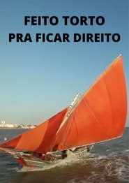 Feito Torto Pra Ficar Direito' Poster