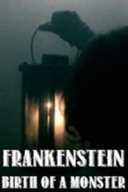 Frankenstein Birth of a Monster' Poster