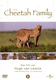 Cheetah Story' Poster