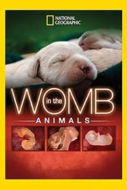 Animals in the Womb' Poster