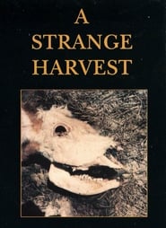 A Strange Harvest' Poster