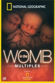 In the Womb Multiples' Poster