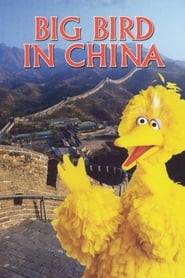 Big Bird in China' Poster