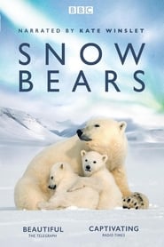 Snow Bears' Poster