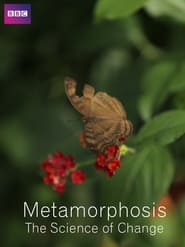 Metamorphosis The Science of Change' Poster