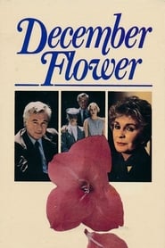 December Flower' Poster