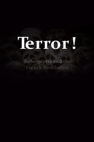 Terror Robespierre and the French Revolution