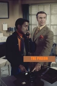 The Pigeon' Poster