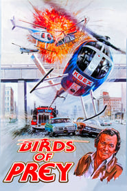 Birds of Prey' Poster