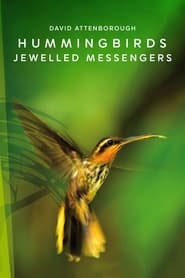 Hummingbirds Jewelled Messengers' Poster