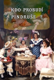 Kdo probud Pindruse ' Poster