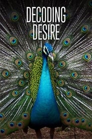 Decoding Desire' Poster